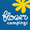 camping olivigne camping flower camping